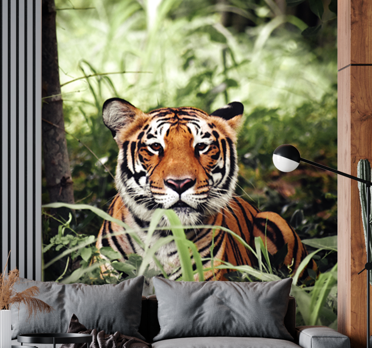 Animals wall mural regal tiger experience - TenStickers