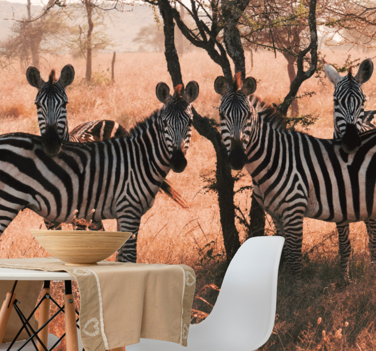 Animals wall mural zebras in nature - TenStickers