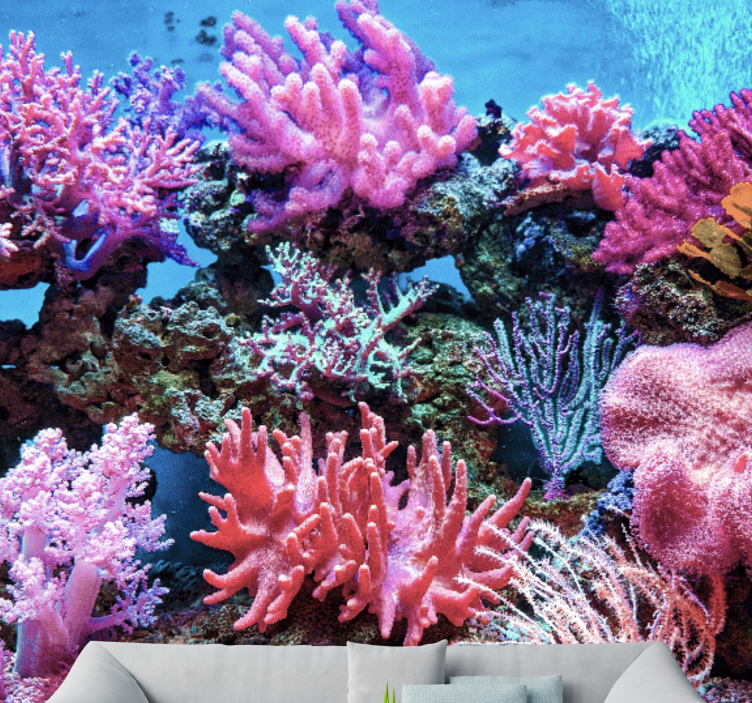 Aquatic Coral Scene under the sea wall mural - TenStickers