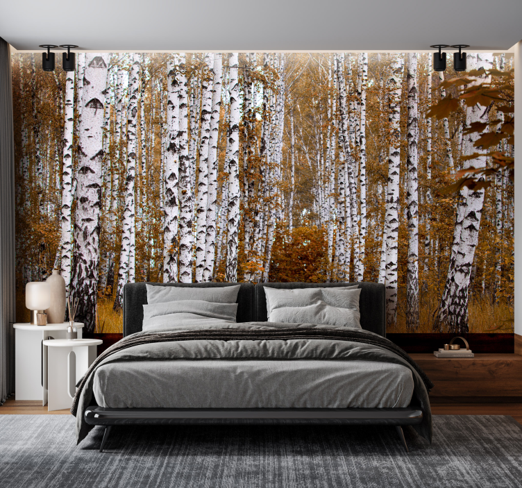birch trees Forest Wall Mural - TenStickers