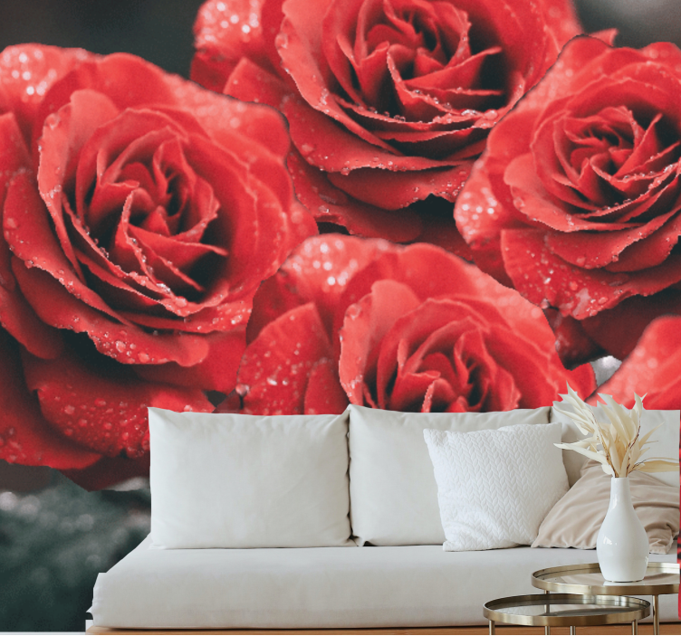 Crimson rose blossoms flower wall mural - TenStickers
