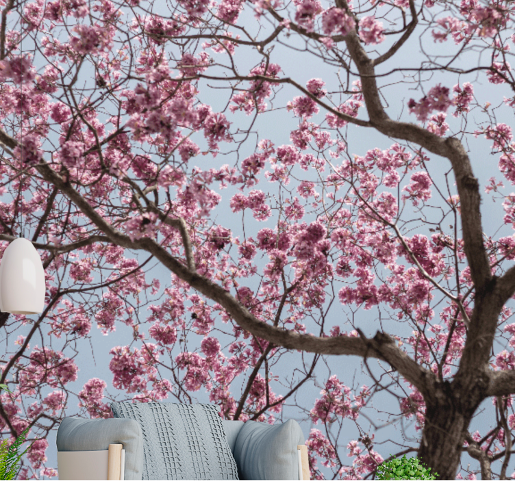 Flower wall mural cherry blossom stem - TenStickers