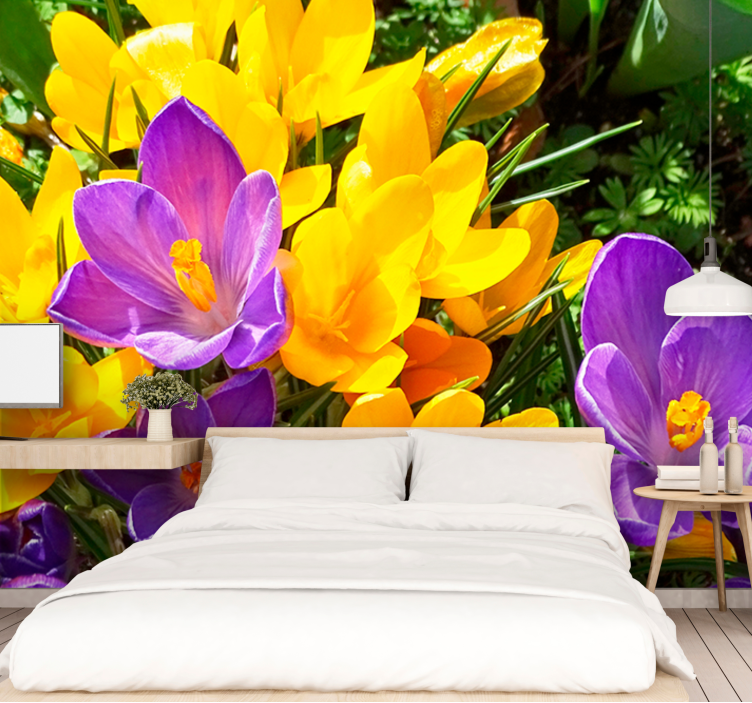 Flower wall mural colorful crocus blooms - TenStickers