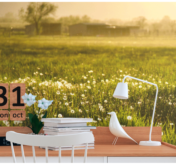 Flower wall mural dandelion meadow scene - TenStickers
