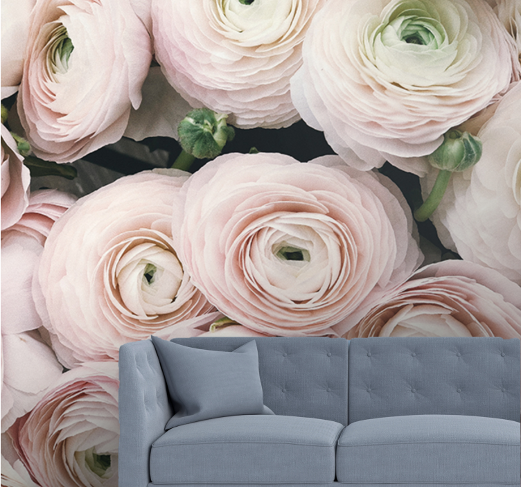 Flower wall mural delicate ranunculus blooms - TenStickers