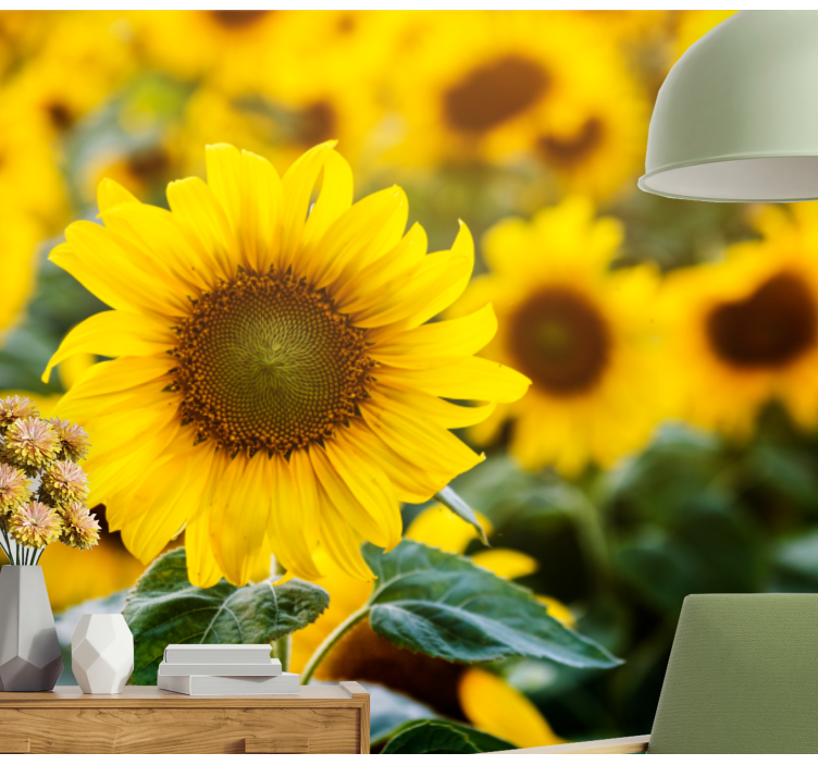 Flower wall mural sunflower field blossom - TenStickers