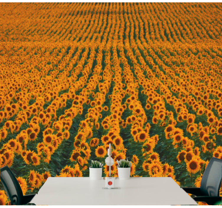 Flower wall mural sunflower meadow - TenStickers