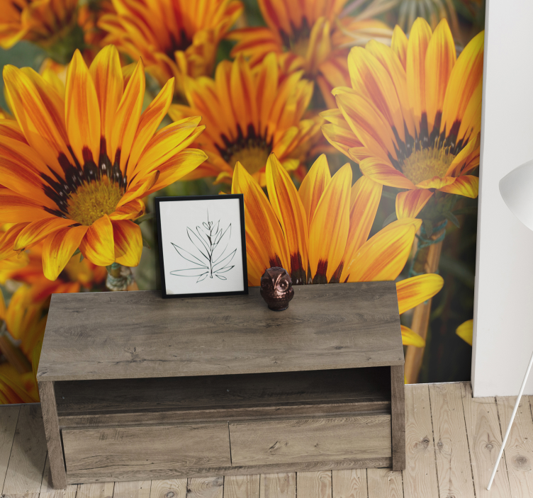 Flower wall mural sunlit orange flowers - TenStickers