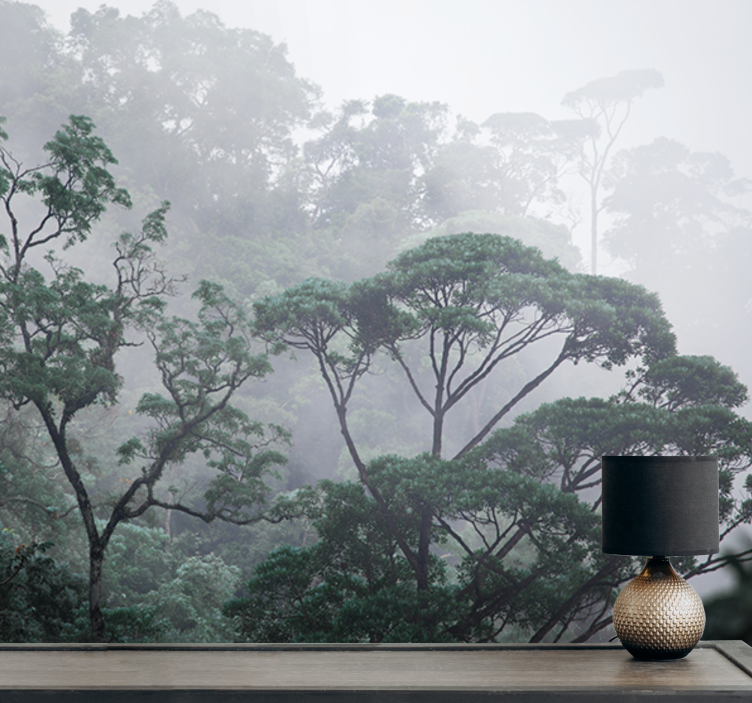 Forest wall mural misty forest scenery - TenStickers