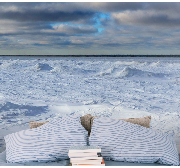 Frozen horizon wall mural nature - TenStickers