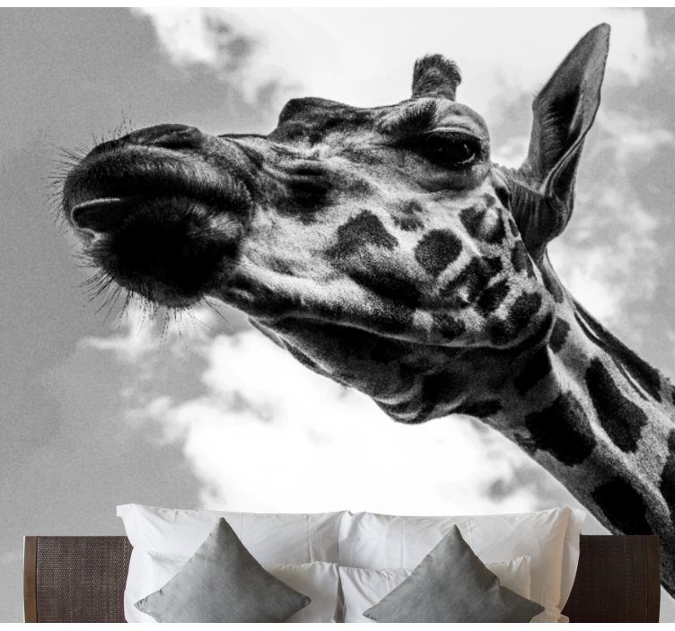 Giraffe Portrait animals wall mural - TenStickers