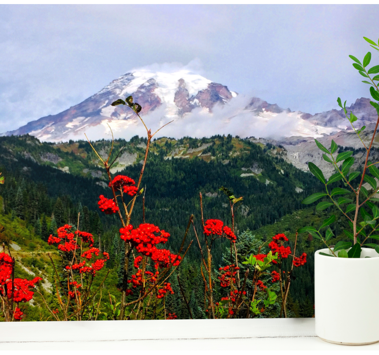 Landscape wall mural snow-capped mountain scene - TenStickers