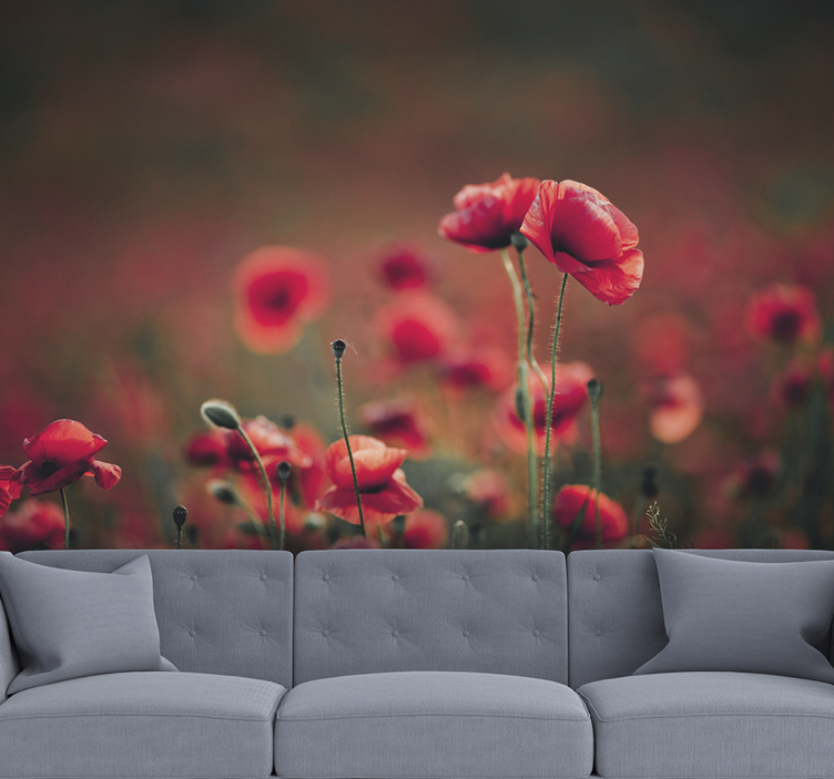 Lush Field poppy wall mural - TenStickers