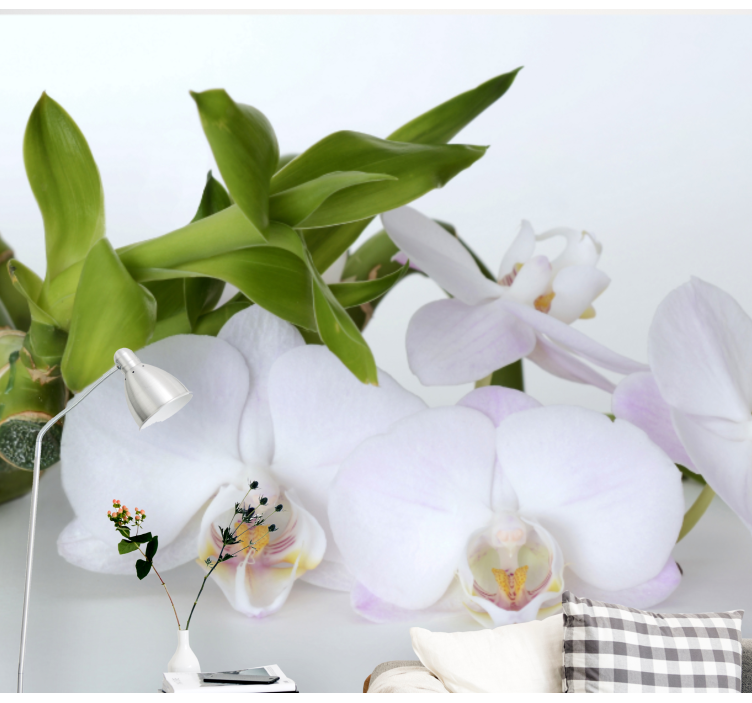 Orchid wall mural elegant orchid arrangement - TenStickers