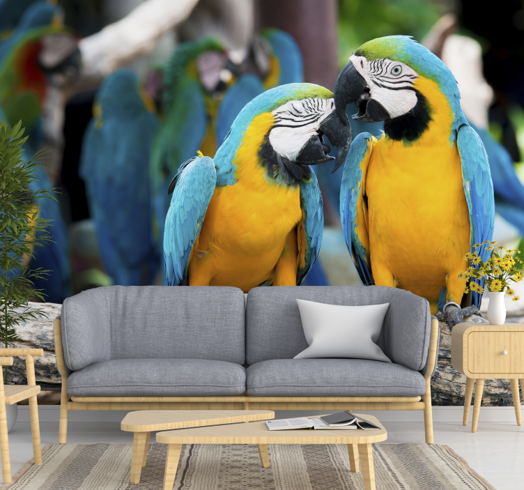 Parrot Pair Encounter animals wall mural - TenStickers
