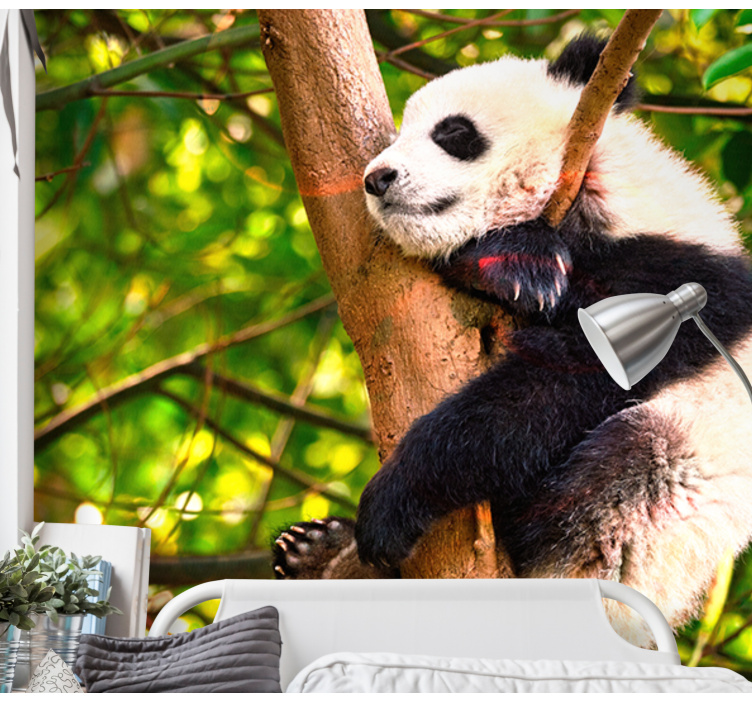 Relaxing Panda Cub animals wall mural - TenStickers