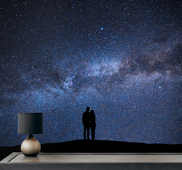 Romantic wall mural starry night romance - TenStickers