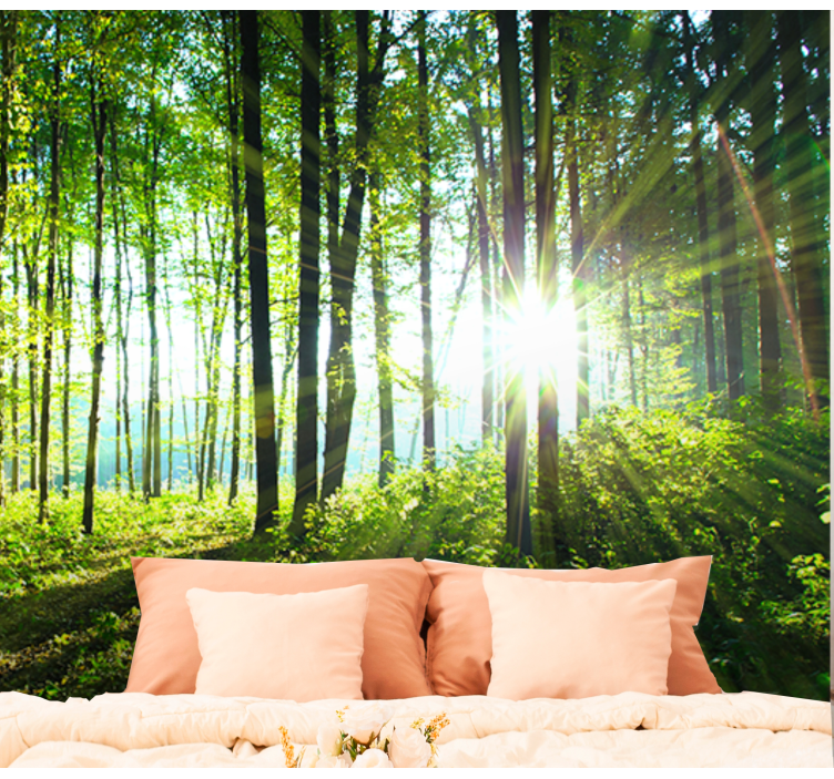 Sun-kissed woodland view forest wall mural - TenStickers