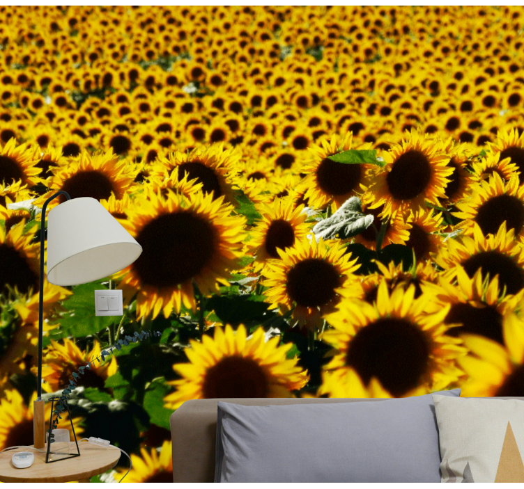 Sunflower field close flower wall mural - TenStickers