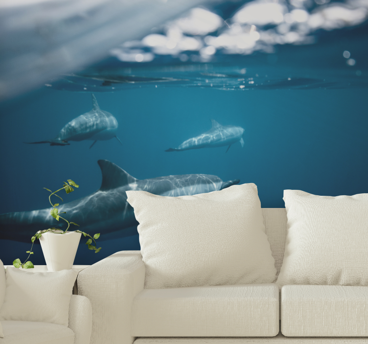 Swimming Dolphins Scene animals wall mural - TenStickers