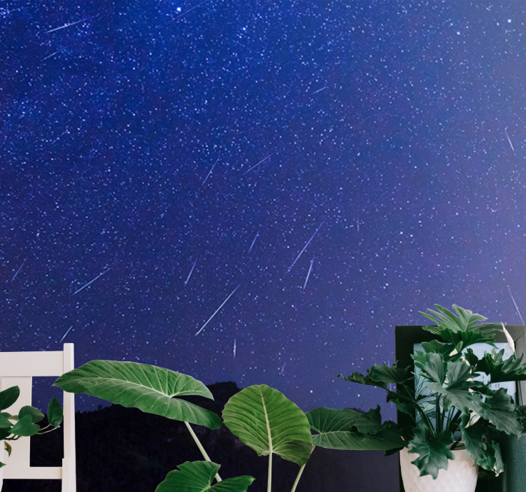 Wall mural mountain celestial comets night - TenStickers