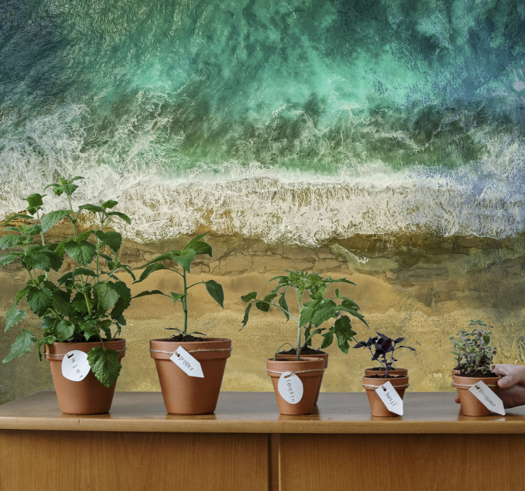 Wall mural nature coastal plant showcase - TenStickers