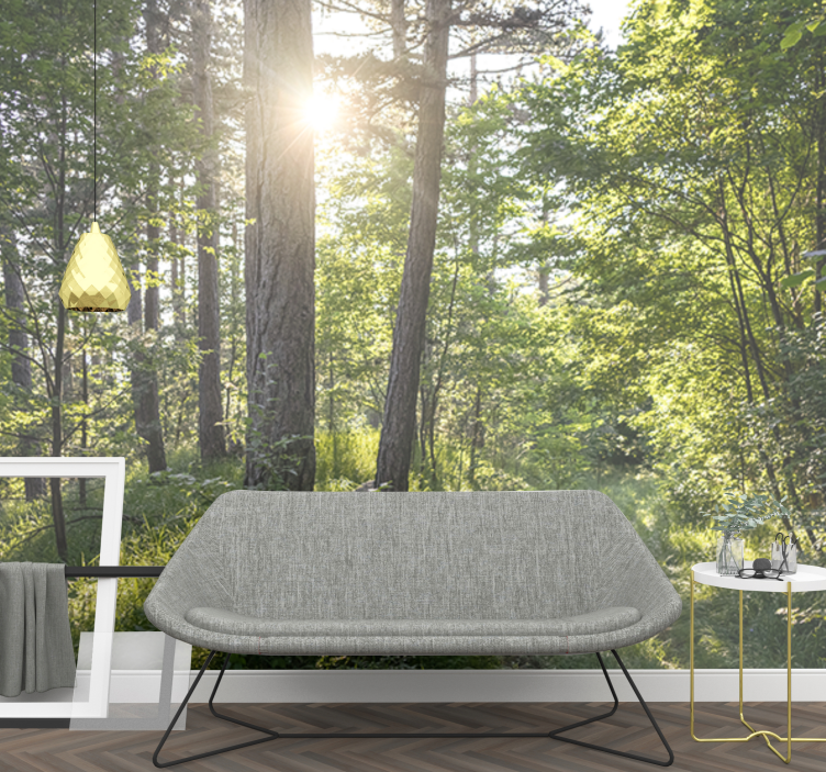 Wall mural nature luminous forest path - TenStickers