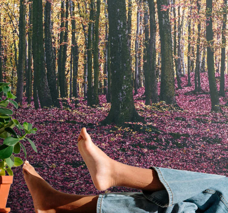 Wall mural nature serene forest landscape - TenStickers