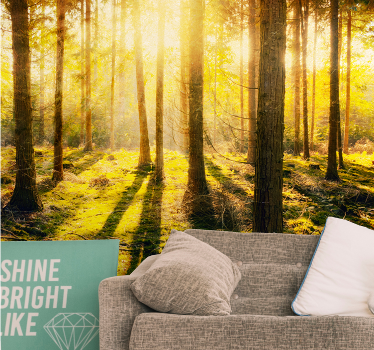 Wall mural nature sunlit forest scenery - TenStickers