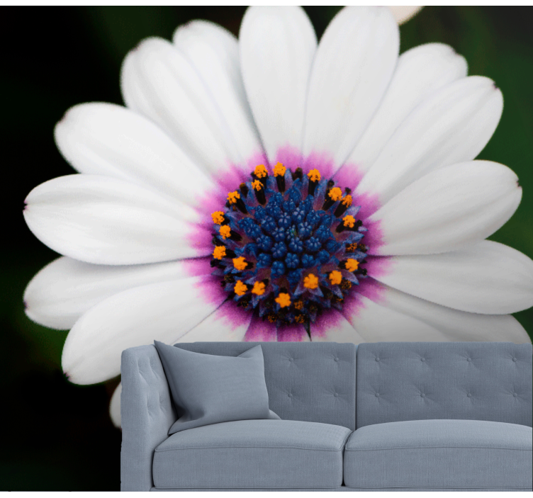 White flower blossom flower wall mural - TenStickers