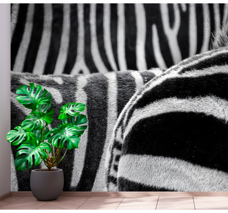 Realistic zebras stripes animals wall mural - TenStickers