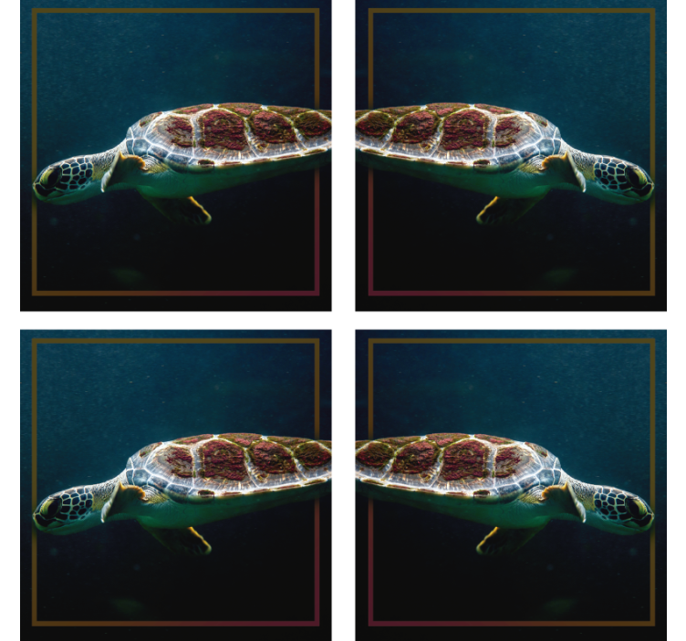 Swimming Turtle Animal Coaster - TenStickers