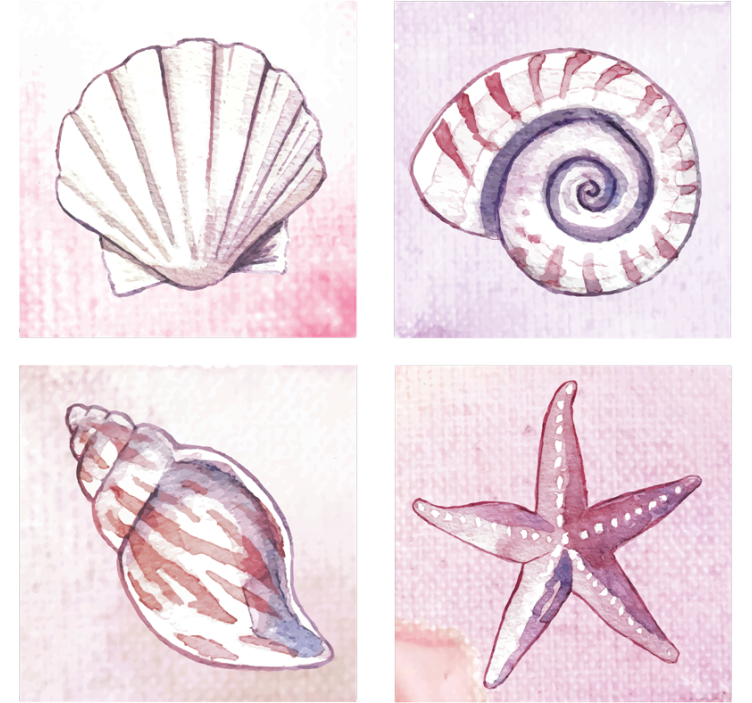 Coasters natural shell watercolors - TenStickers
