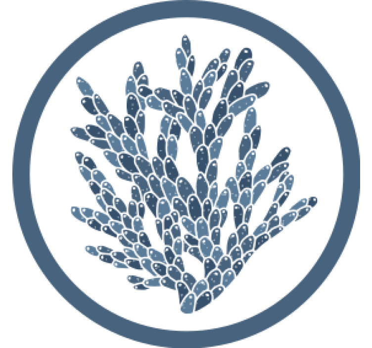 Abstract coral pattern coasters - TenStickers