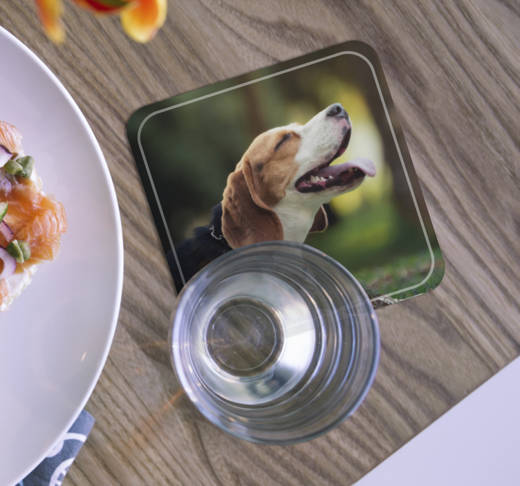 Personalised Dog Photo coasters - TenStickers