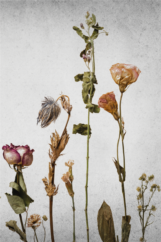 Flowers poster dried floral arrangement art print - TenStickers