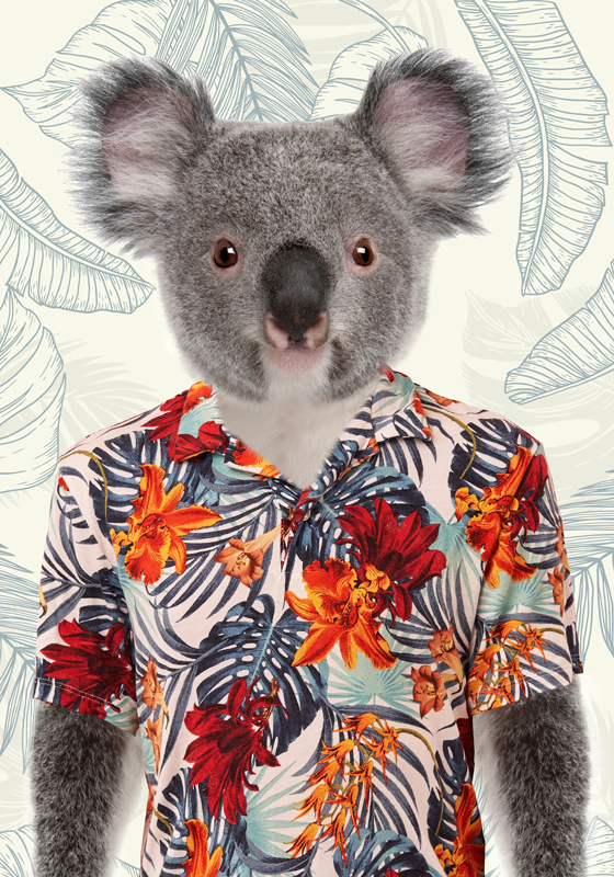 Elegant KoalaAn elegant koala with a graceful demeanor. poster fo - TenStickers