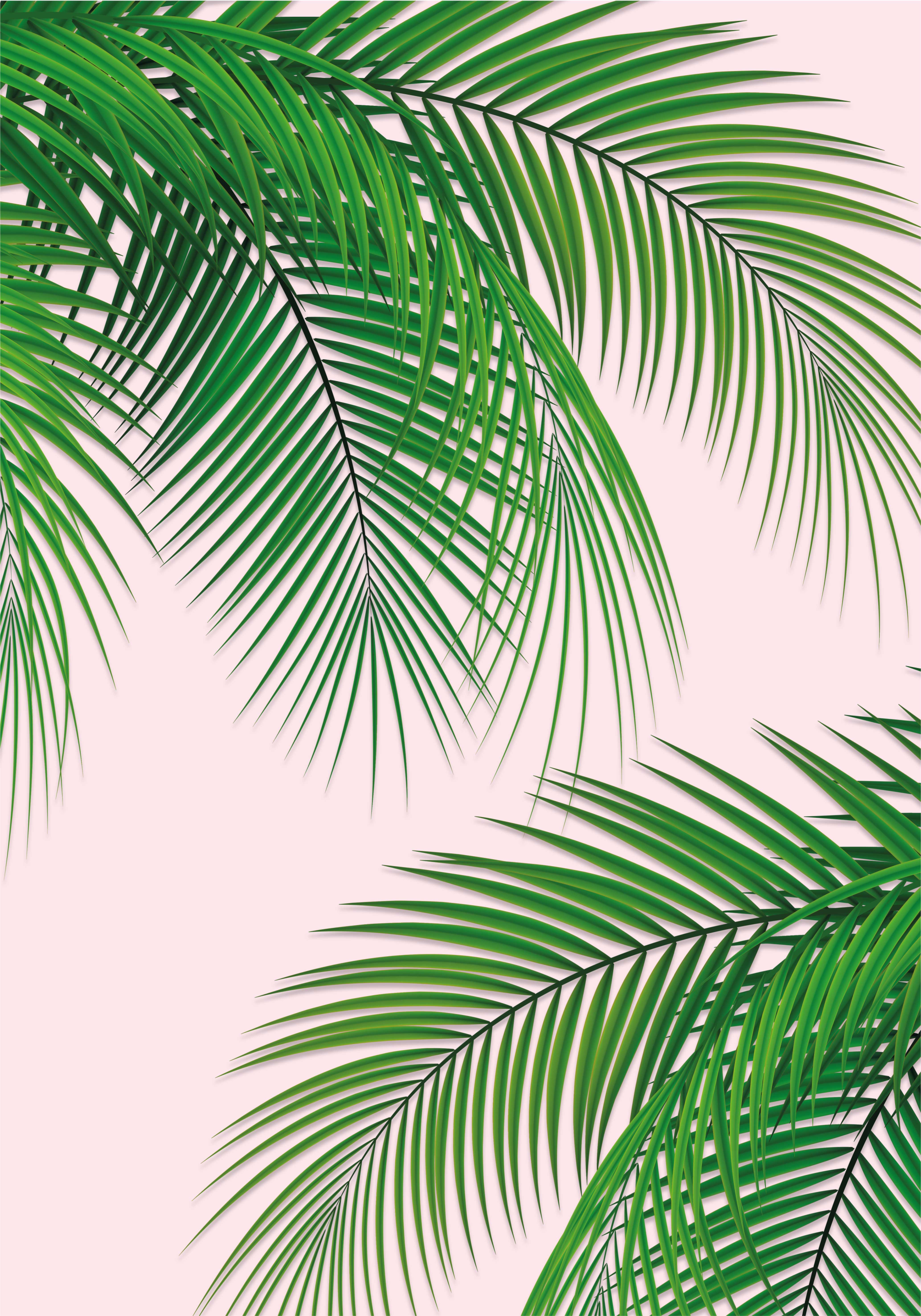 Hoja tropical Tropical Leaf tree poster - TenStickers