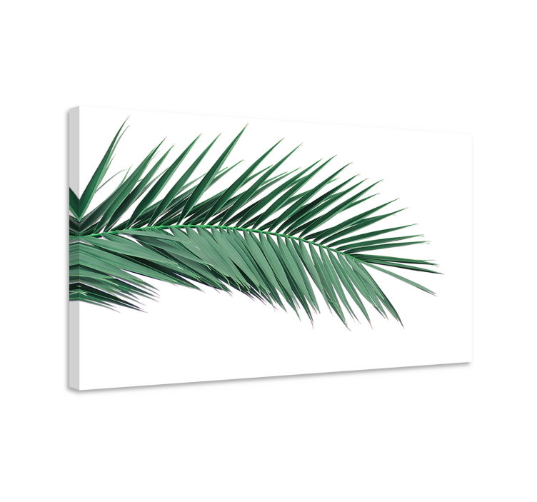 Tropical Plant Leaf canvas prints - TenStickers