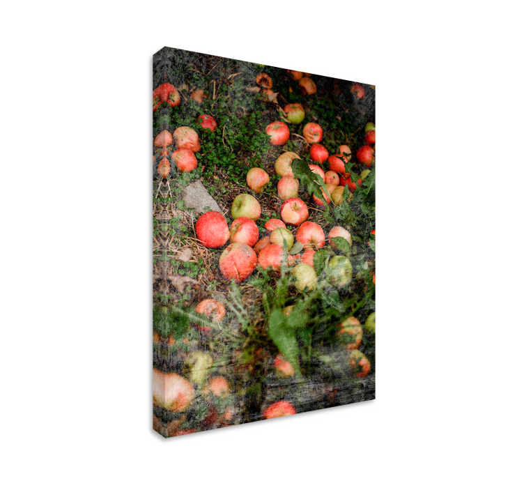 Falling apples fruit canvas wall art - TenStickers