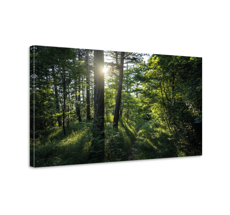 Landscape canvas illuminated woodland path - TenStickers
