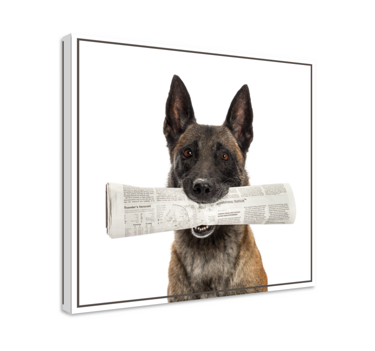 Dog wall art dog carrying newspaper print - TenStickers