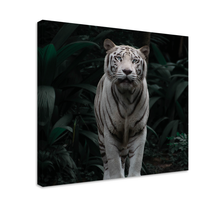 Majestic white tiger animal canvas wall art - TenStickers