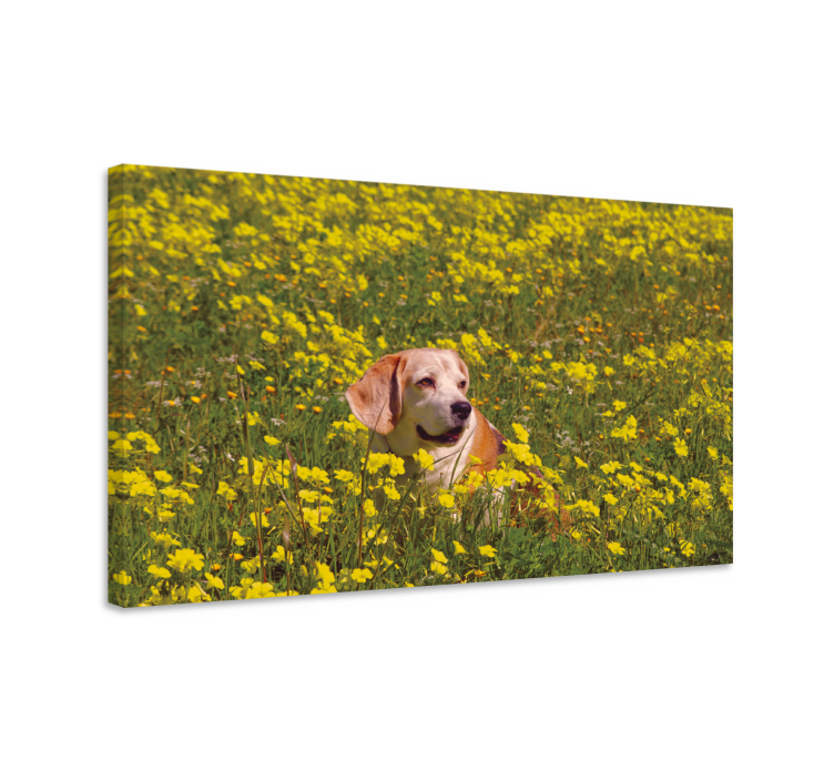 Dog wall art happy dog in nature - TenStickers