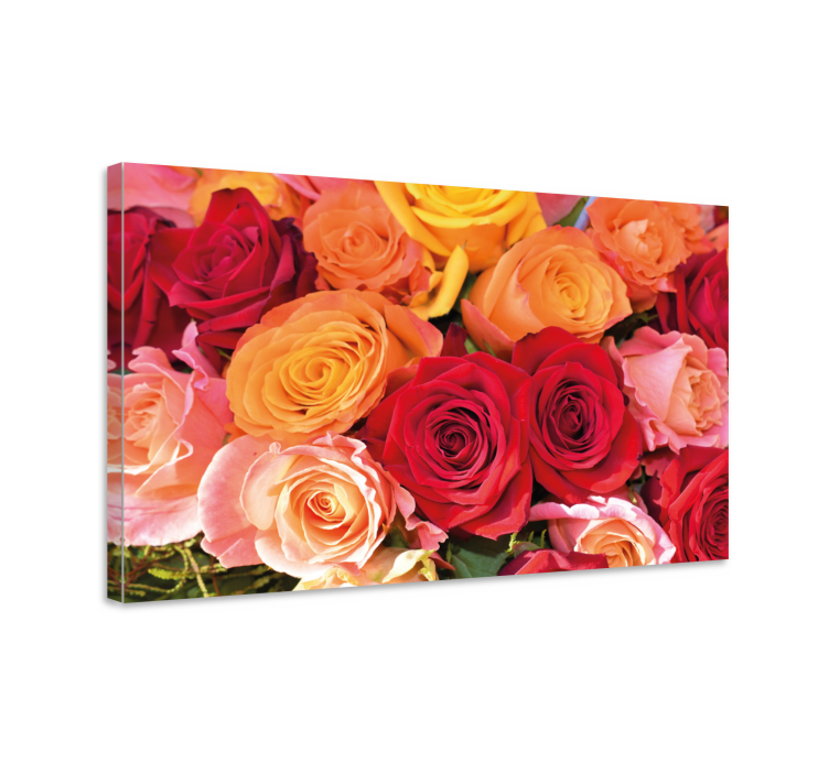 Orange red and pink roses flower canvas - TenStickers