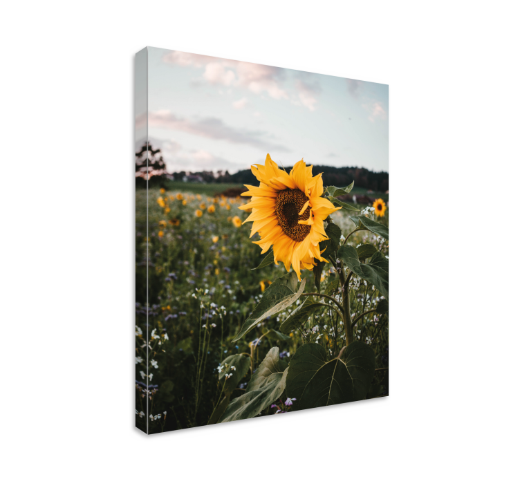 Sun flower landscape flower canvas - TenStickers