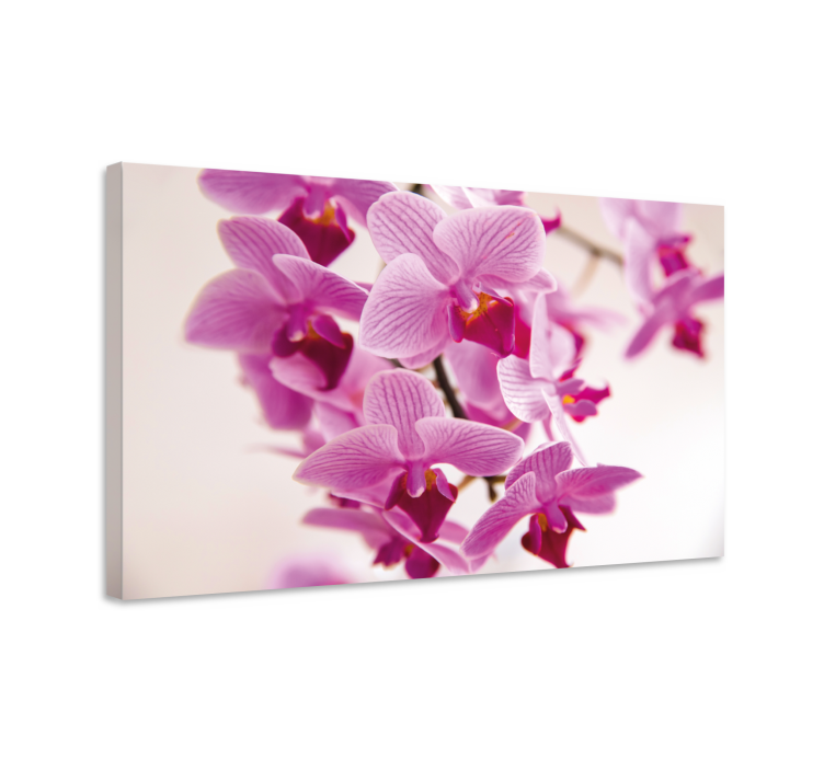 Brilliant Orchid flower flower canvas - TenStickers