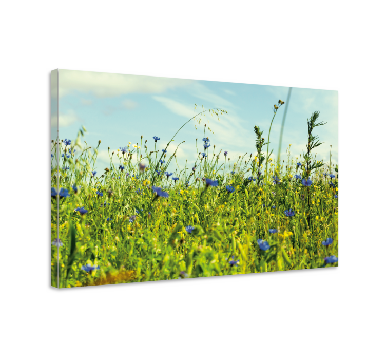Flowers canvas wildflower meadow design - TenStickers