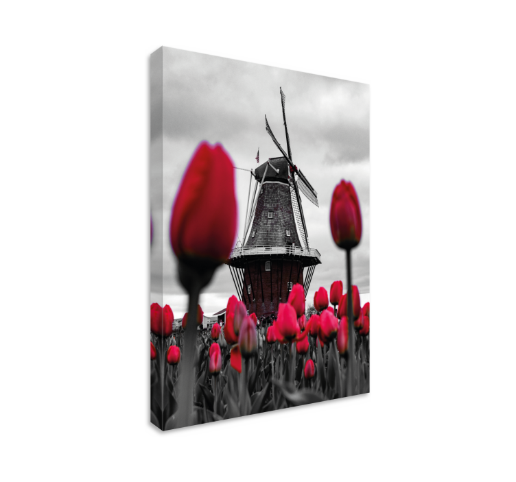 Landscape canvas windmill and tulips - TenStickers