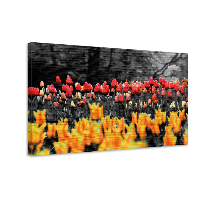 Flowers canvas colorful tulip garden - TenStickers